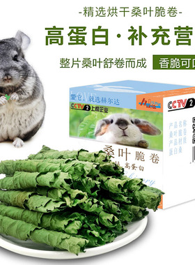 人工摘选新鲜烘干桑叶卷兔子豚鼠龙猫健康零食补充蛋白质营养美毛