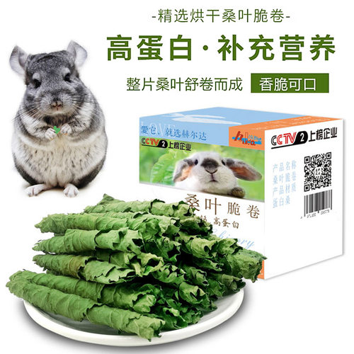 人工摘选新鲜烘干桑叶补充蛋白质