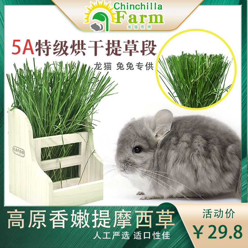 烘干提摩西草提草兔子龙猫干草