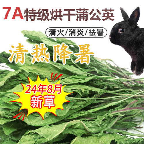 兔子蒲公英草干草清热解毒烘干蒲公英牧草牧草兔子龙猫蒲公英清火