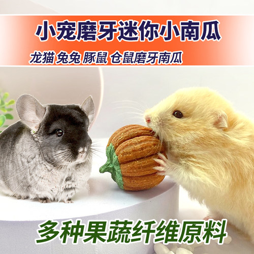 迷你小南瓜兔子龙猫磨牙仓鼠零食