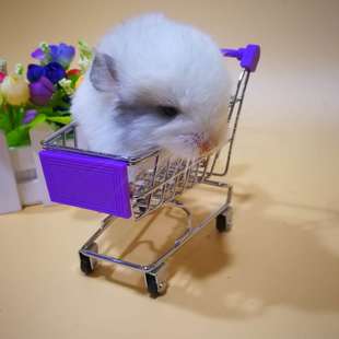 小宠物玩具龙猫玩具鹦鹉兔兔仓鼠天竺鼠训练迷你购物车超市小推车