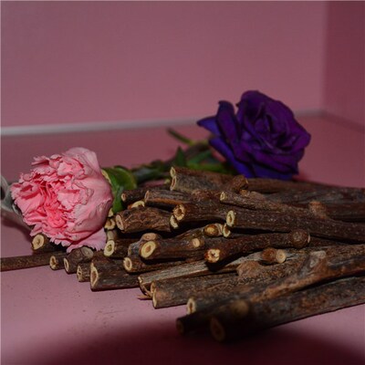 新货苹果枝磨牙棒磨出好牙