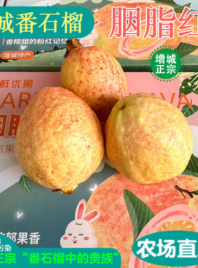 胭脂红芭乐红心番石榴软糯鸡屎果当季整箱应季水果潘巴乐10斤包邮