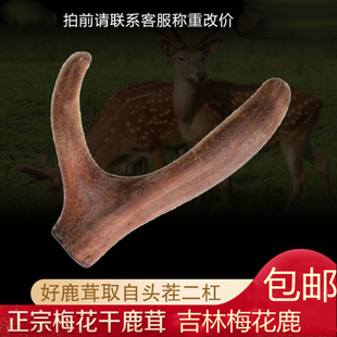 东北鹿茸吉林梅花鹿整枝鹿茸头茬二杠干鹿茸 7.5元一克起价