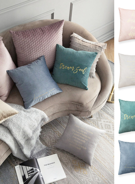 forhome北欧ins抱枕套沙发靠垫车内客厅抱枕卧室天鹅绒丝绒靠枕