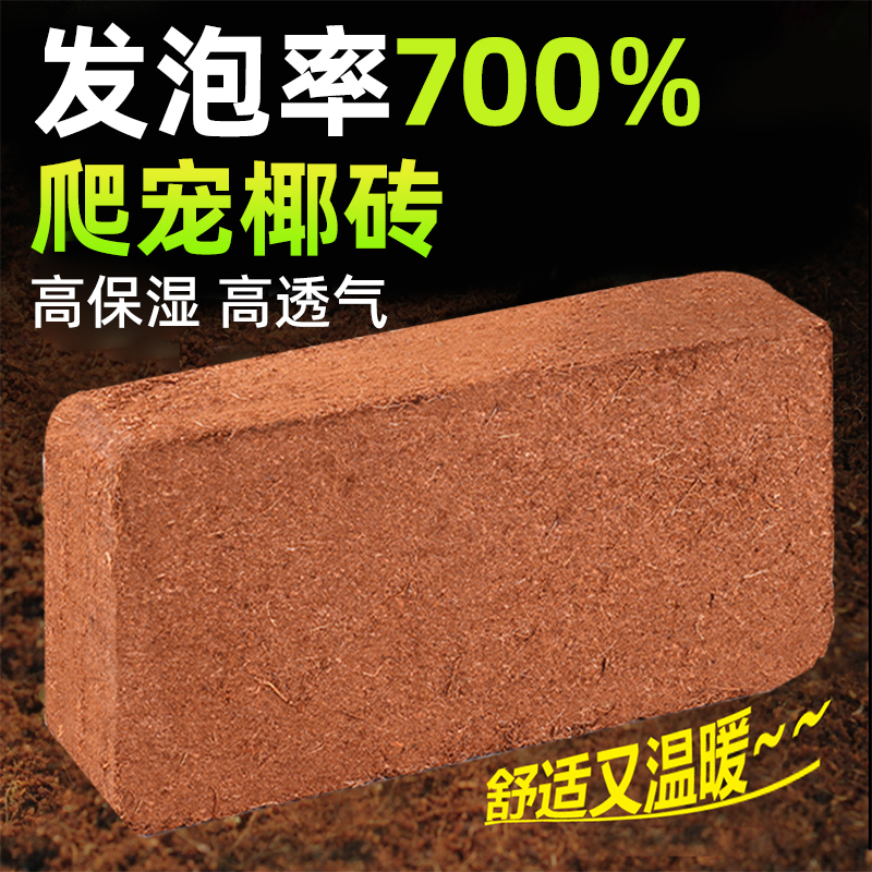 亚峰爬宠乌龟冬眠专用椰土椰砖