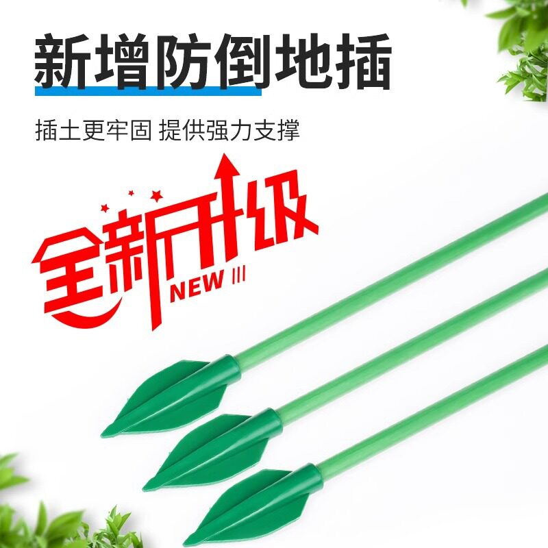 花架龟背竹支撑杆花卉植物固定图片