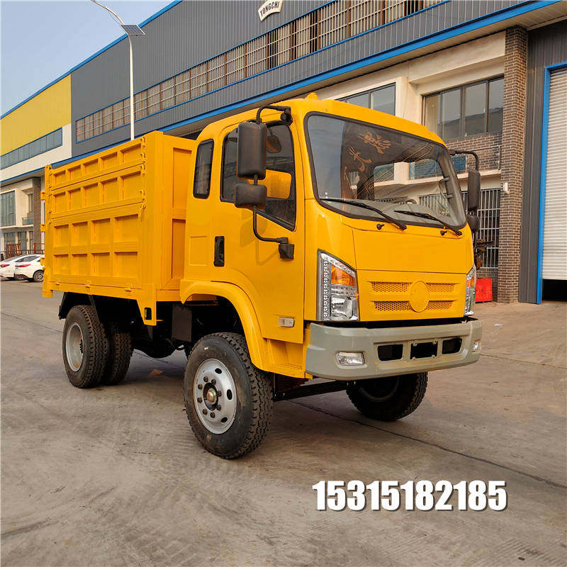 定制平头小货车自制豪华小货车四不像运输车自卸车农用豪华四驱车