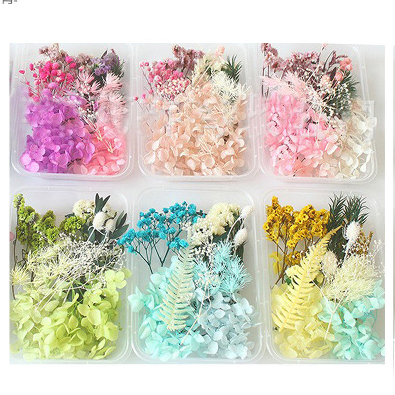 干花包永生花盒压花材料包零碎雏菊满天星小白花香薰浮油手工贴画