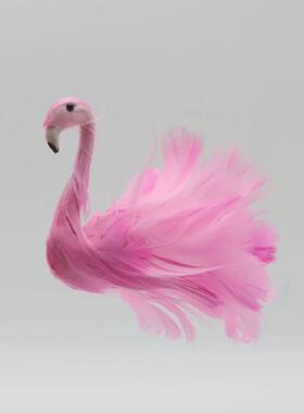 火烈鸟真实羽毛装饰摆件仿真小鸟