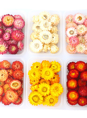 精选七彩菊干花包AA级麦杆菊花头天然风干永生花手工材料包相框装