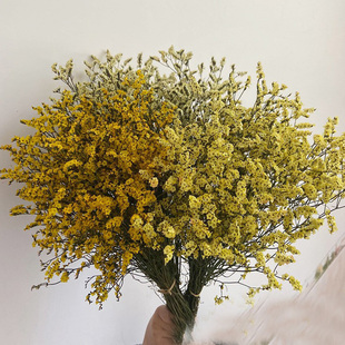 水晶草干花包混搭花束永生花家居客厅装饰真花满天星干枝梅浮油花