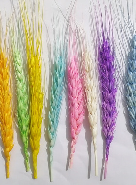 黄色麦穗干花包天然风干手工diy客厅装饰画团扇浮油花材紫粉绿白