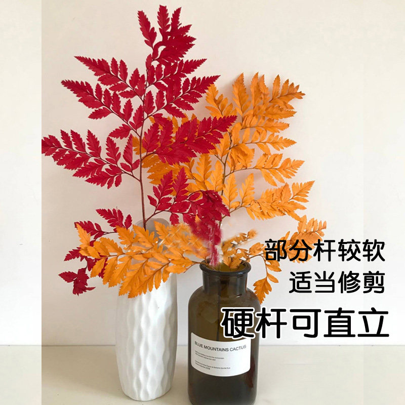 高山羊齿蕨叶永生花干花包北欧风格客厅装饰相筐手工玻璃罩材料花,家居饰品,干花/花瓣/干花包/干树枝,淘宝优惠券,粉丝福利购,淘宝优惠卷