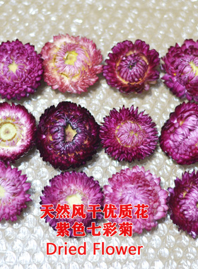 紫色七彩菊小雏菊干花包天然风干花香薰蜡烛大号麦秆菊手工材料包