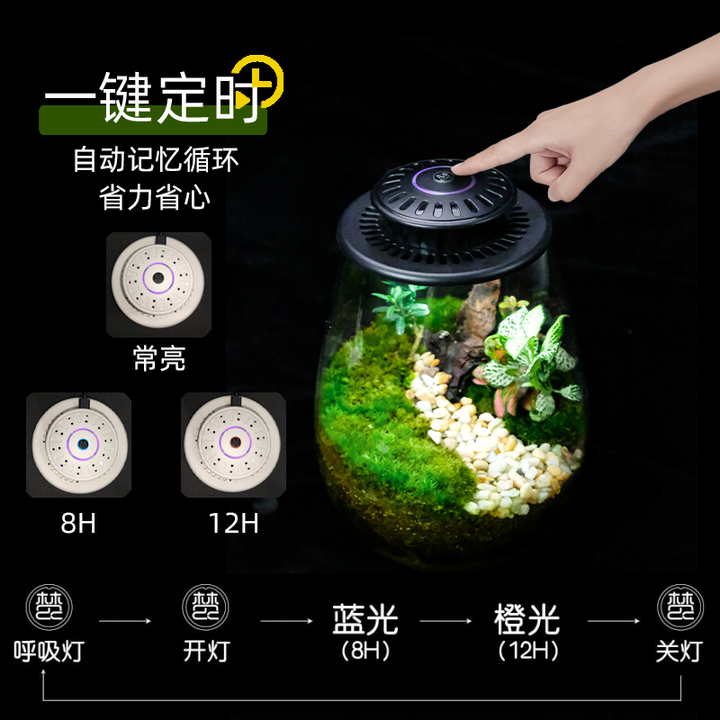 微景观生态瓶补光灯UFO全光谱仿苔藓植物生长灯玻璃瓶植物灯太阳