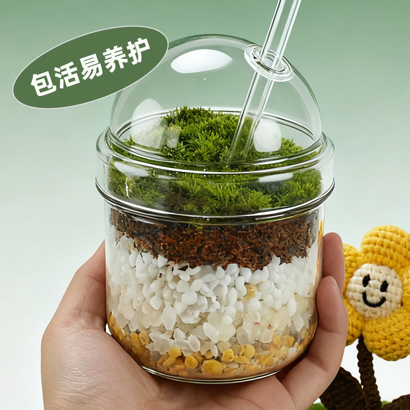 奶茶杯桌面苔藓微景观创意生日礼物办公桌面绿植盆栽植物好养活