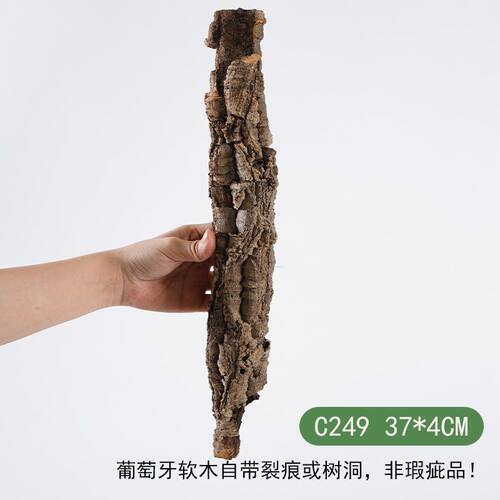 【青氧】葡萄牙软木雨林缸造景附生植物爬宠攀爬躲避屋孤品-C249
