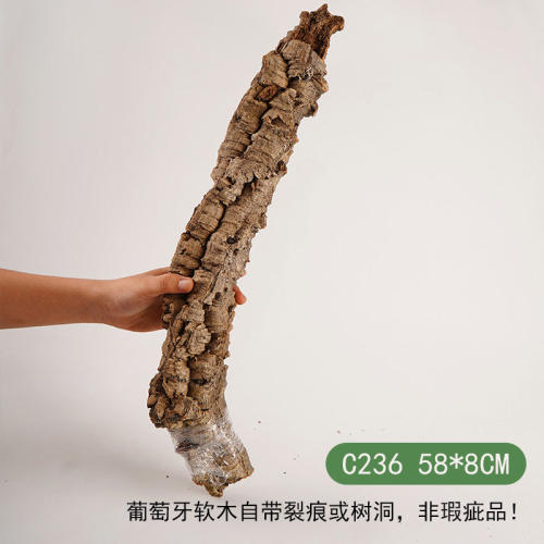 【青氧】葡萄牙软木雨林缸造景附生植物爬宠攀爬躲避屋孤品-C236