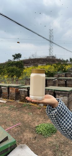 假一赔十紫云英蜜，波美度42.5纯正油菜花蜜自然成熟原蜜