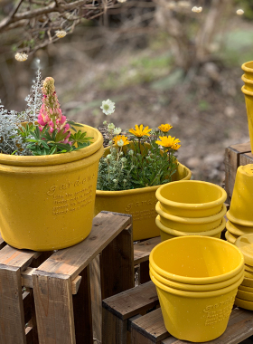 利快Hachiman Gardens日本进口花盆花器绿萝多肉大口径盆栽加仑盆