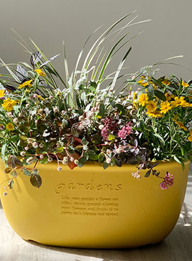 利快Hachiman Gardens日本进口椭圆花盆绿萝多肉大口径盆栽加仑盆