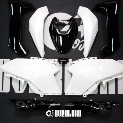 Overload熊猫配色AE4AE5车壳