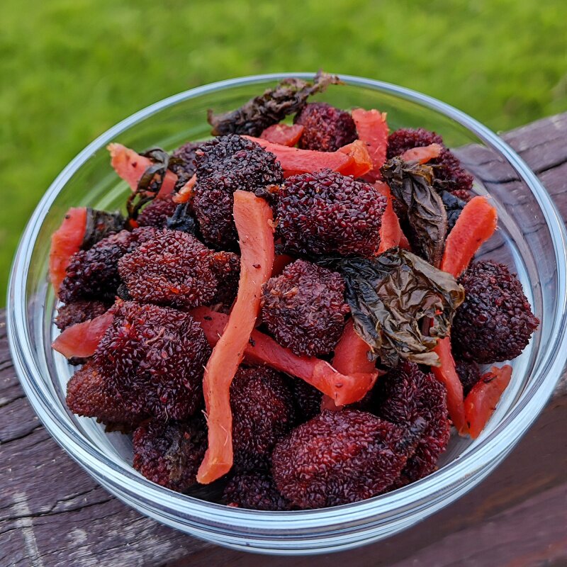 紫苏杨梅姜180g瓶装即食开胃蜜饯小吃湖南特产休闲零食下午茶点心