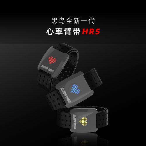 BlackBird黑鸟心率臂带HR5