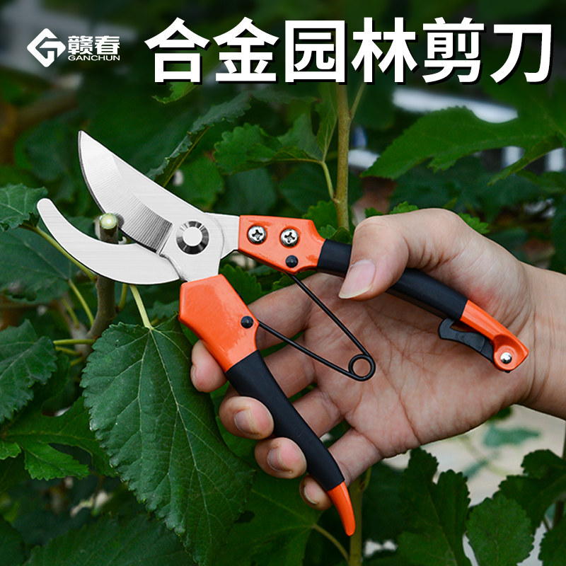 剪枝剪刀修剪树枝剪刀果树剪园林果树果枝修花剪刀剪修枝园艺剪刀_虎窝淘