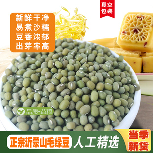 正宗毛绿豆山东农家自产笨绿豆2025新货绿豆炒豆沙生豆芽打豆浆