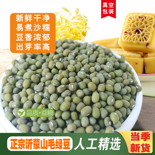 正宗毛绿豆山东农家自产笨绿豆2026新货绿豆炒豆沙生豆芽打豆浆