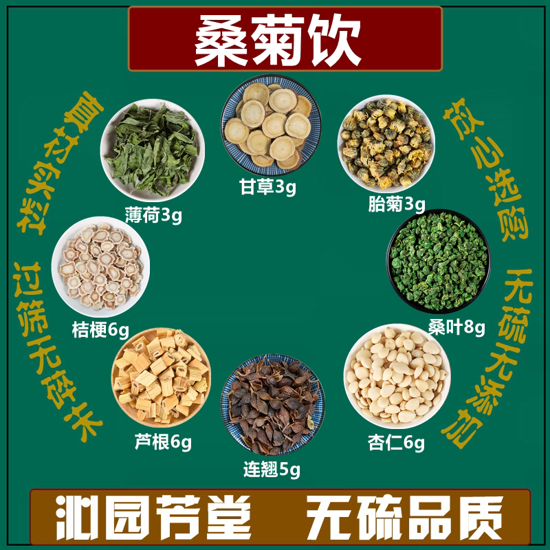 桑菊饮桑叶胎菊杏仁连翘薄荷叶桔梗甘草芦苇根中药材养生方代茶饮