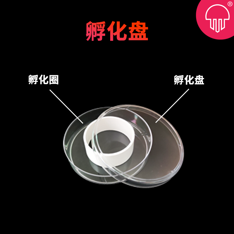 丰年虾孵化盘加热垫水母粮赤月水母饲料孵化盘大部分省份满30包邮