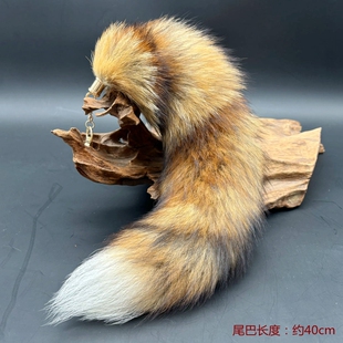 进口狐狸尾巴 包包汽车钥匙皮草挂件 真毛舞蹈道具 40--50厘 包邮