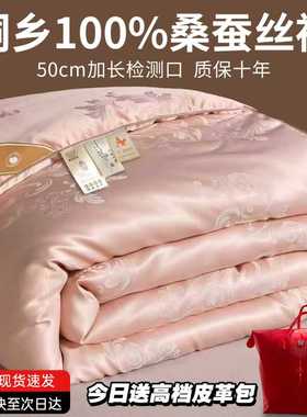 桐乡蚕丝被100桑蚕丝被子春秋被冬被加厚保暖子母被四季通用被芯