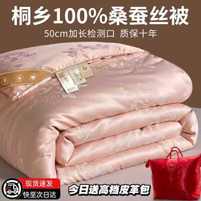 桐乡蚕丝被100桑蚕丝被子春秋被冬被加厚保暖子母被四季通用被芯