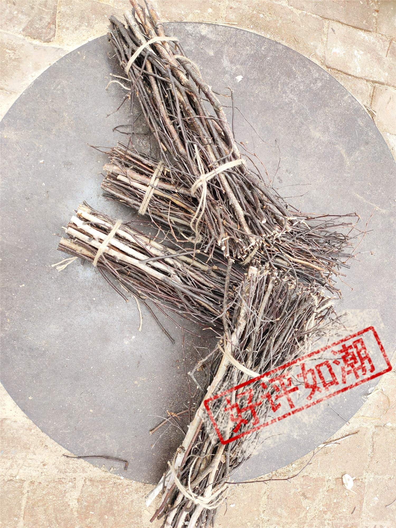 白色干支树枝手工装饰材料