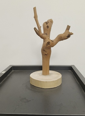 干树枝摆件装饰天然树干枯木造景树杈支架展示架文玩挂架子造型放