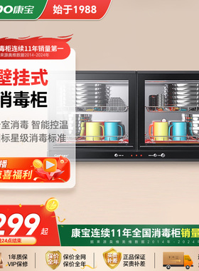 康宝XDR60-AYX家用商用小型壁挂式消毒柜幼儿园专用高温消毒碗柜