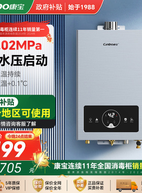 康宝JSQ23-1260FX智能恒温家用天然气12T强制排气式热水器防干烧