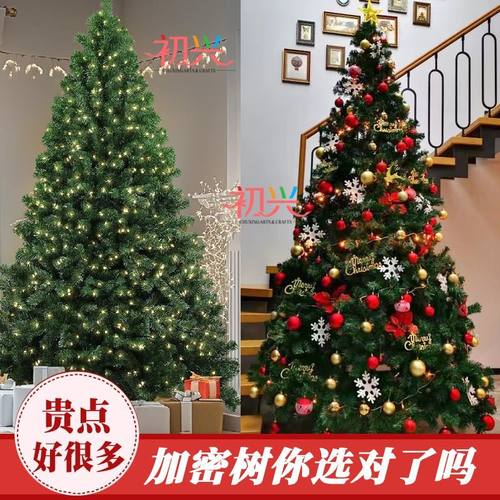 【加密胖树】大型茂密新款圣诞树