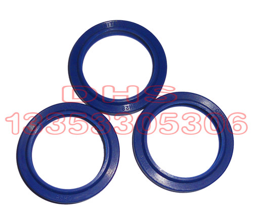 进口料防尘油封密封件DHS