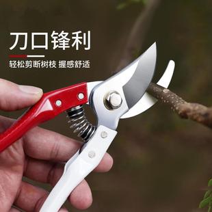 居家家园艺修枝剪粗枝剪果树盆景修剪工具不锈钢花艺剪刀子鲜花剪