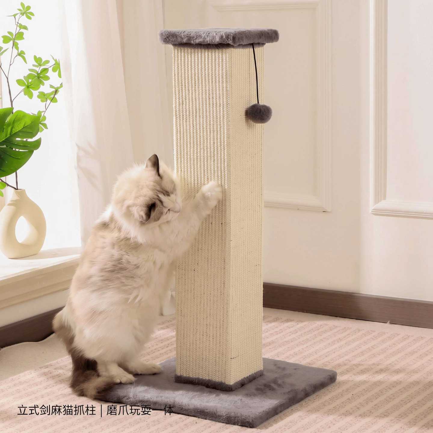 立式剑麻猫抓柱耐磨不掉屑猫咪图片
