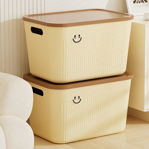 【拍1发2】到手2个带盖大收纳箱