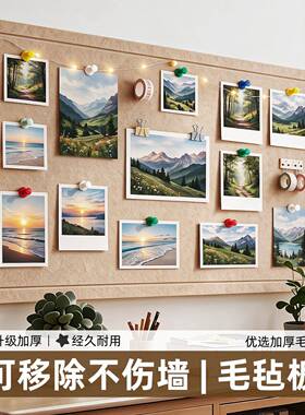 毛毡板墙贴高级感客厅玄关照片墙