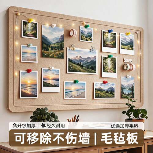 毛毡板墙贴高级感客厅玄关照片墙