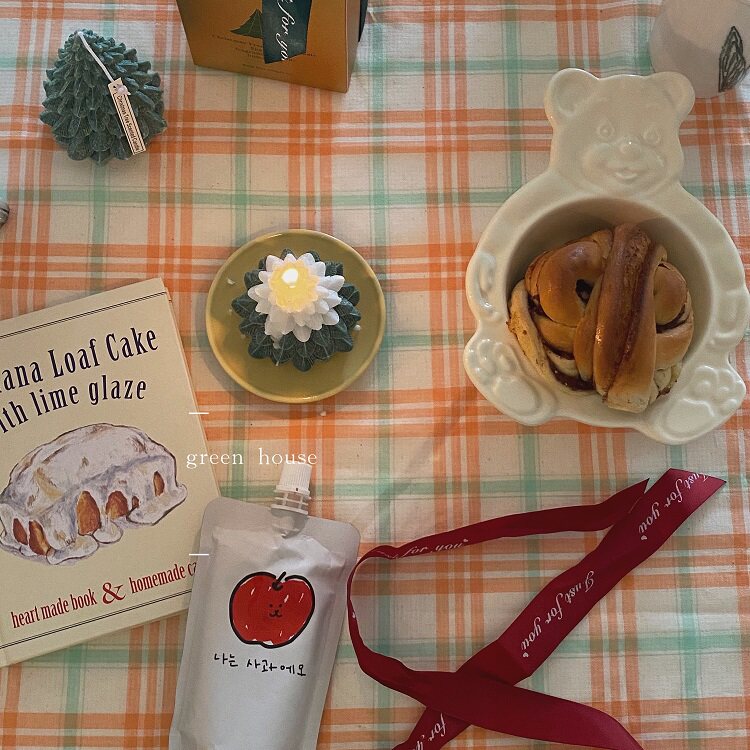 green house *出口韩国ins布料冬日情景剧格纹桌布背景布